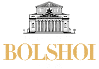Escola Bolshoi Sticker by Bolshoi Brasil