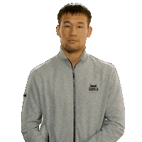 Great Job Thumbs Up Sticker by UFC