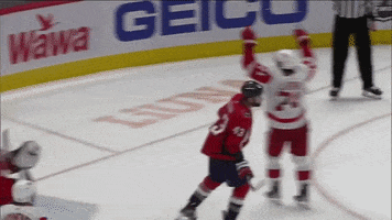 ballysportsdetroit celebration hockey nhl 2021 GIF