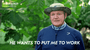 Gordon Ramsay Disney Plus GIF by National Geographic TV