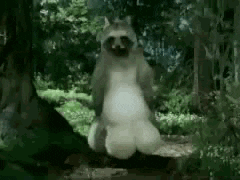 karma comment GIF