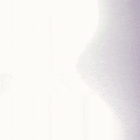 College Sports Sport GIF by LSU Tigers