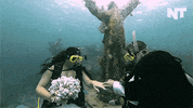 breaking news swimming GIF by NowThis 