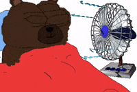 Sleepy Bear GIF by Bobo Memes