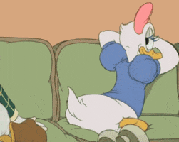 stuff daisy GIF