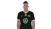 E Sports Sport Sticker by VfL Wolfsburg