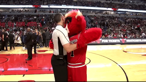 benny the bull nba GIF by Chicago Bulls