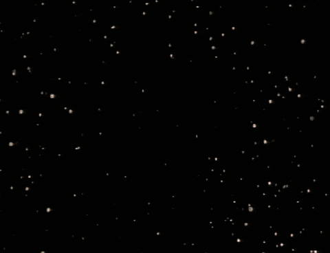 home movie intro GIF by MANGOTEETH