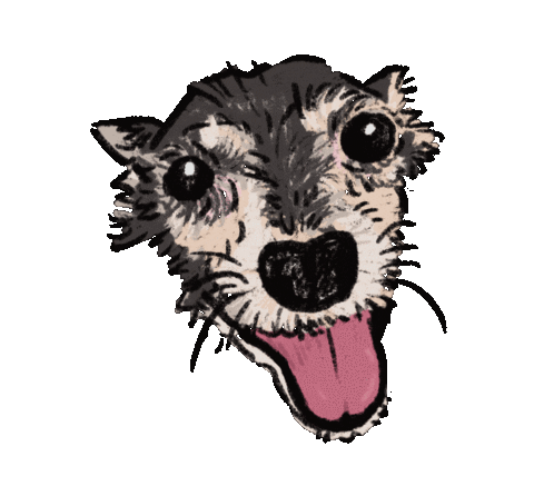 Dog Pet Sticker