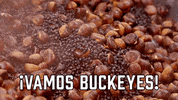 College Football Sport GIF by Sealed With A GIF
