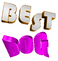 Best Friend Dog Sticker by GIPHY Text