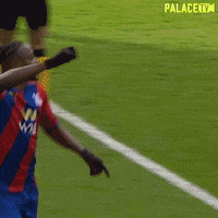 Premier League Football GIF by CPFC
