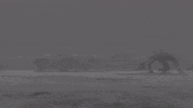 Heavy Metal GIF by Machine Head