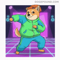 Happy Lets Go GIF by Doge Pound