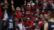 Nba Playoffs Sport GIF by NBA