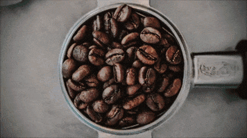 hannahjohnston art animation coffee stop motion GIF