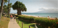 hawaii GIF