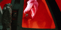 Tgpu GIF