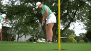 iwusports tgoe iwusports iwutitans titanup GIF