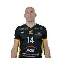 Monster Volleyball Sticker by PGE GiEK Skra Bełchatów