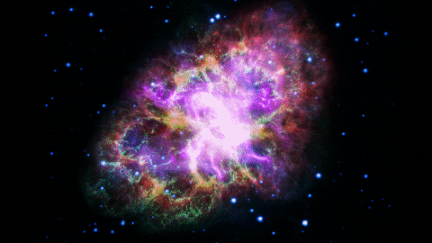 crab nebula space GIF by NASA