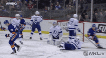 happy ice hockey GIF by NHL