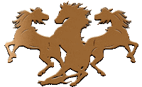 crazyhorse3lv crazyhorse3 crazyhorse3lv Sticker