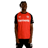 Bayer 04 Love Sticker by Bayer 04 Leverkusen