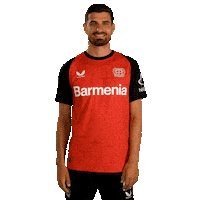 Bayer 04 Win Sticker by Bayer 04 Leverkusen