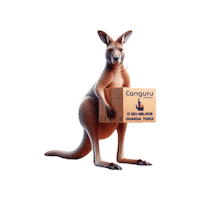 cangurustorage storage canguru canguru storage canguru self storage Sticker