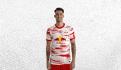 Champions League Football GIF by RB Leipzig