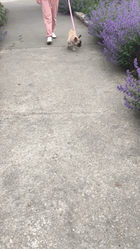 GIF by namslam