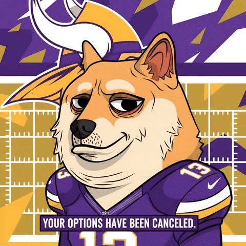 Shiba Inu Football GIF by Doge Pound