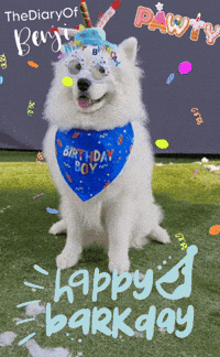 Party Birthday GIF