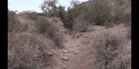 Earth Science Education GIF by DIIMSA Stock