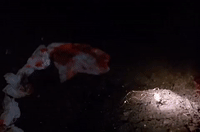 season 1 GIF by Twin Peaks on Showtime