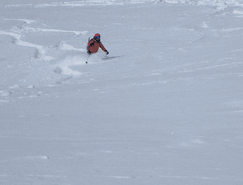 stevechamgif giphygifmaker GIF