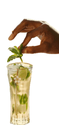 stgermaindrinks happy hour spritz st germain hugo spritz Sticker