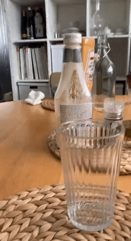 sixsocksstudio giphyupload GIF