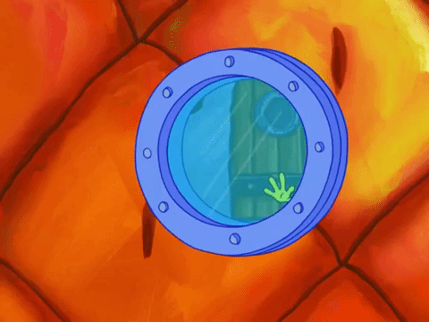 season 8 GIF by SpongeBob SquarePants