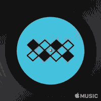 applemusic apple music drag city GIF