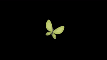 Butterfly GIF by Douglas Marketing Group