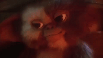 christmas movies gremlins GIF