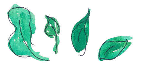 evakaynorrington giphyupload art nature pretty Sticker