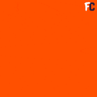 FanCode duck dc cricket out GIF