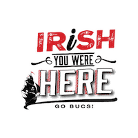 Superbowl Tampa Sticker by Irish 31