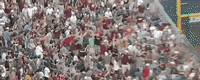 College World Series Baseball GIF by NCAA Championships