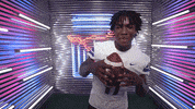 College Football Sport GIF by SMU Football