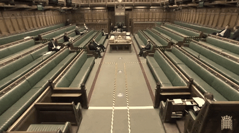 harrytubm giphygifmaker GIF