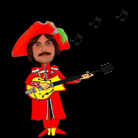 theflamingshakers guitar the beatles thebeatles theflamingshakers GIF